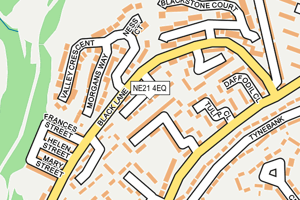 NE21 4EQ map - OS OpenMap – Local (Ordnance Survey)