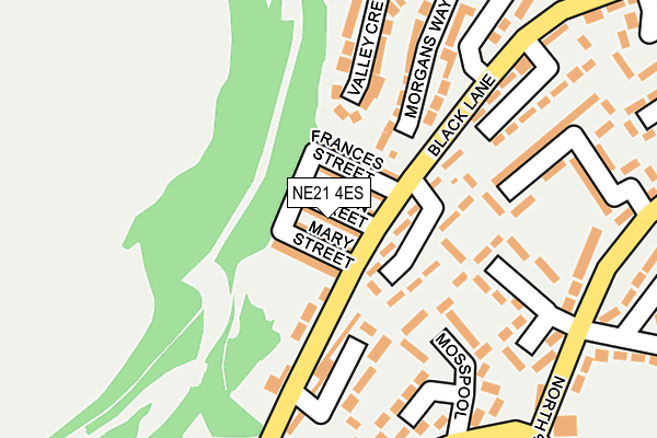 NE21 4ES map - OS OpenMap – Local (Ordnance Survey)