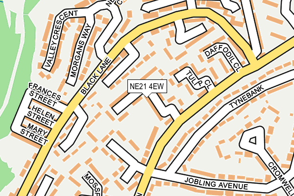 NE21 4EW map - OS OpenMap – Local (Ordnance Survey)