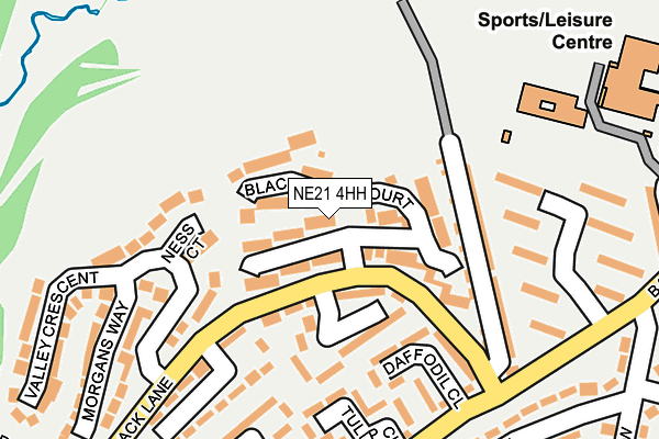 NE21 4HH map - OS OpenMap – Local (Ordnance Survey)