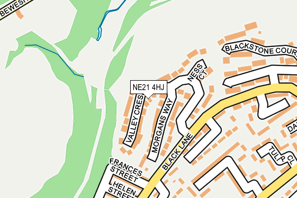 NE21 4HJ map - OS OpenMap – Local (Ordnance Survey)