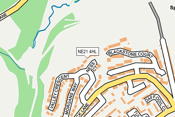 NE21 4HL map - OS OpenMap – Local (Ordnance Survey)