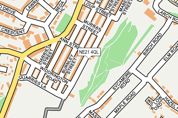 NE21 4QL map - OS OpenMap – Local (Ordnance Survey)