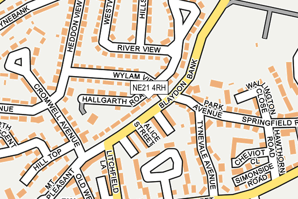 NE21 4RH map - OS OpenMap – Local (Ordnance Survey)
