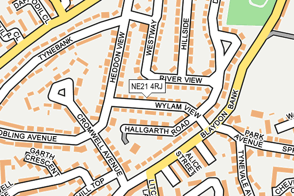 NE21 4RJ map - OS OpenMap – Local (Ordnance Survey)