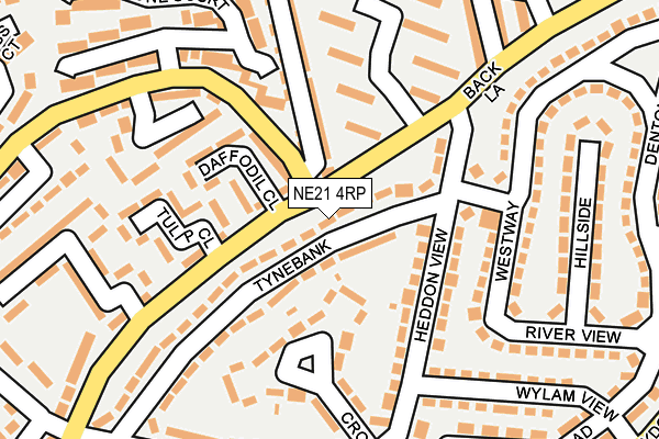 NE21 4RP map - OS OpenMap – Local (Ordnance Survey)