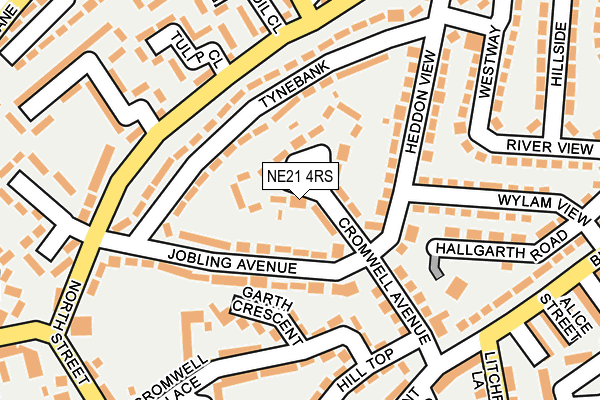 NE21 4RS map - OS OpenMap – Local (Ordnance Survey)