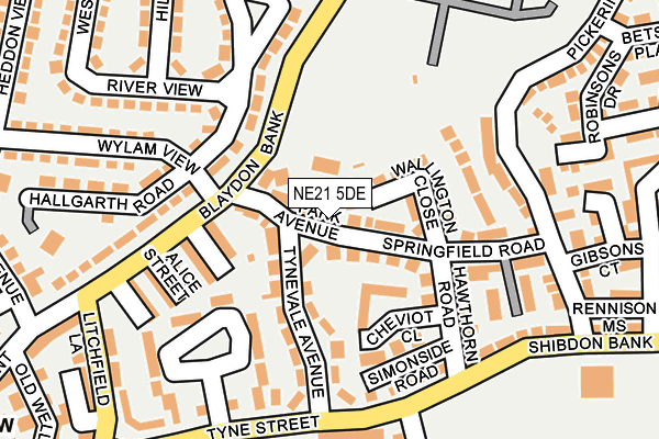 NE21 5DE map - OS OpenMap – Local (Ordnance Survey)