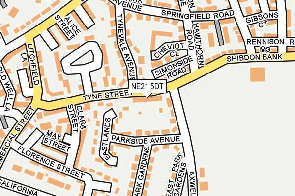 NE21 5DT map - OS OpenMap – Local (Ordnance Survey)
