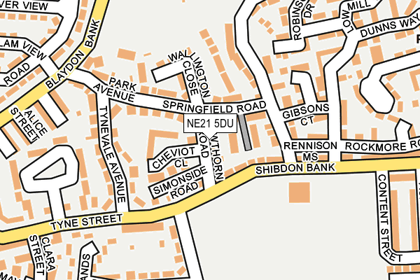 NE21 5DU map - OS OpenMap – Local (Ordnance Survey)