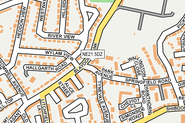 NE21 5DZ map - OS OpenMap – Local (Ordnance Survey)