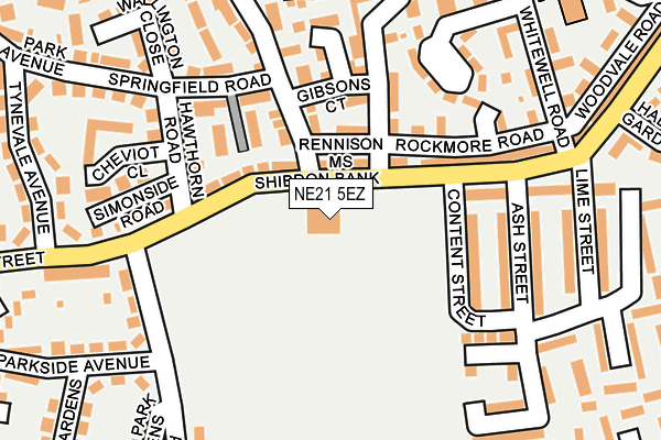 NE21 5EZ map - OS OpenMap – Local (Ordnance Survey)