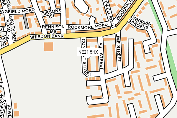 NE21 5HX map - OS OpenMap – Local (Ordnance Survey)