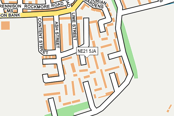 NE21 5JA map - OS OpenMap – Local (Ordnance Survey)