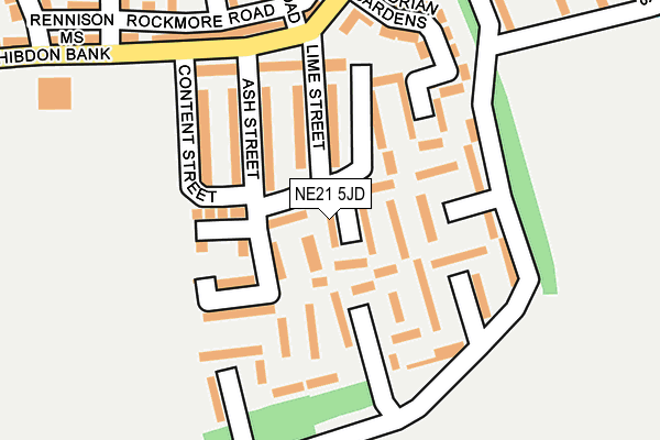 NE21 5JD map - OS OpenMap – Local (Ordnance Survey)