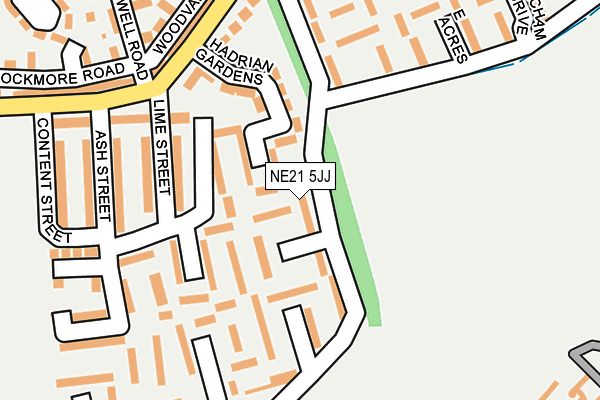 NE21 5JJ map - OS OpenMap – Local (Ordnance Survey)