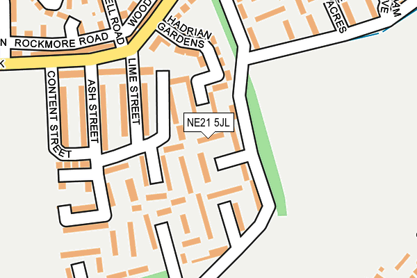 NE21 5JL map - OS OpenMap – Local (Ordnance Survey)