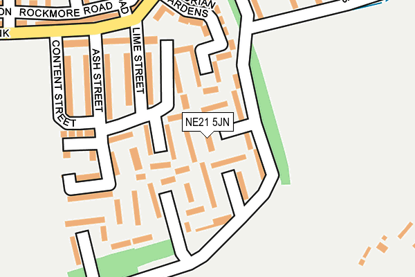 NE21 5JN map - OS OpenMap – Local (Ordnance Survey)