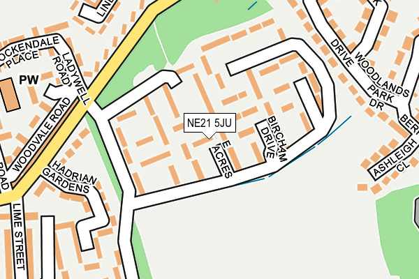 NE21 5JU map - OS OpenMap – Local (Ordnance Survey)