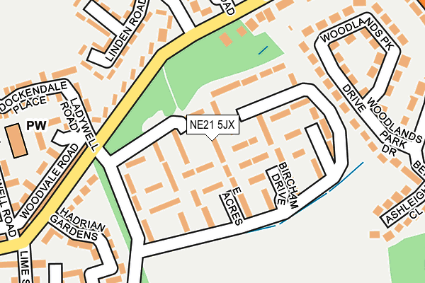 NE21 5JX map - OS OpenMap – Local (Ordnance Survey)