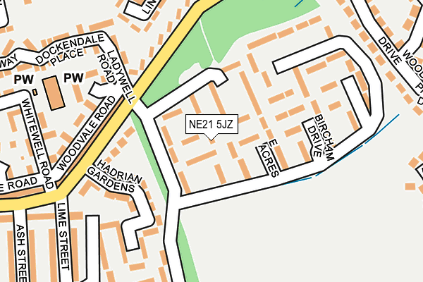NE21 5JZ map - OS OpenMap – Local (Ordnance Survey)
