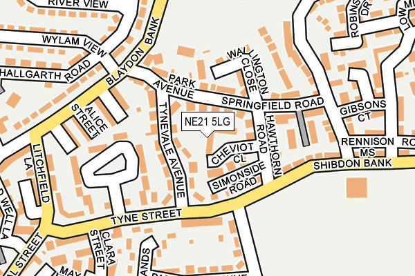 NE21 5LG map - OS OpenMap – Local (Ordnance Survey)