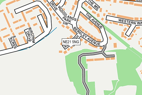 NE21 5NG map - OS OpenMap – Local (Ordnance Survey)