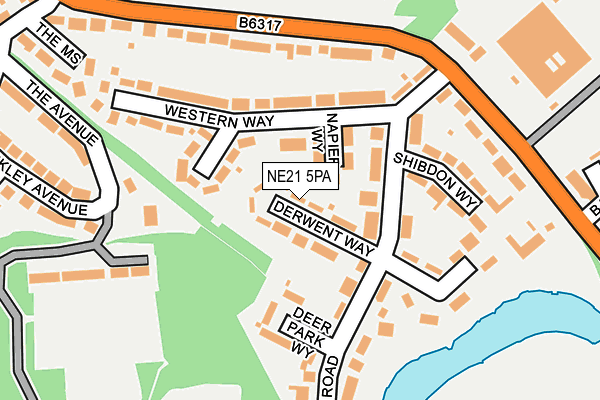 NE21 5PA map - OS OpenMap – Local (Ordnance Survey)