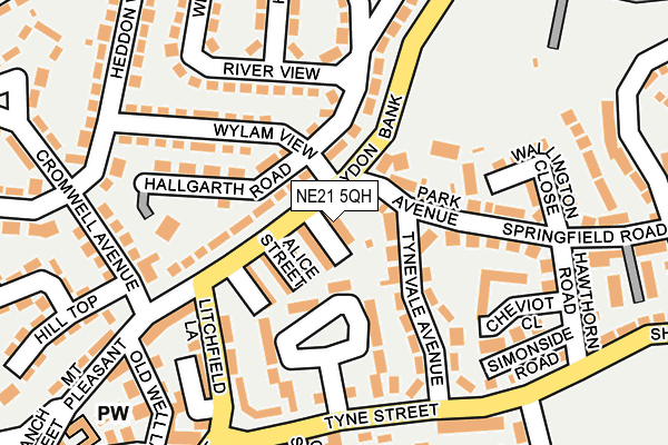 NE21 5QH map - OS OpenMap – Local (Ordnance Survey)