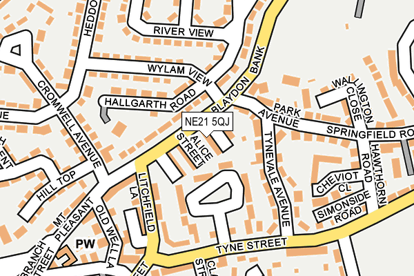 NE21 5QJ map - OS OpenMap – Local (Ordnance Survey)
