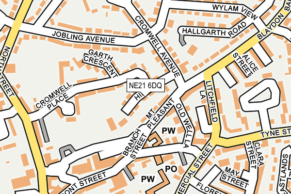 NE21 6DQ map - OS OpenMap – Local (Ordnance Survey)