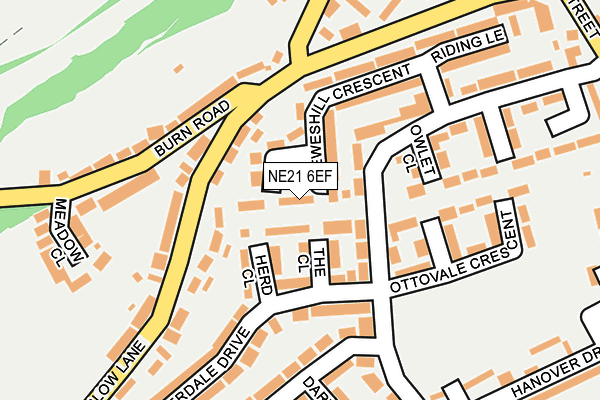 NE21 6EF map - OS OpenMap – Local (Ordnance Survey)