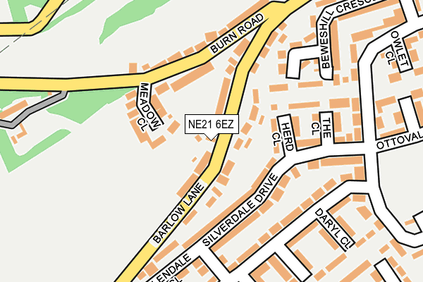 NE21 6EZ map - OS OpenMap – Local (Ordnance Survey)