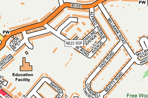 NE22 5DP map - OS OpenMap – Local (Ordnance Survey)