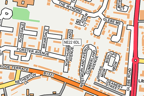 NE22 6DL map - OS OpenMap – Local (Ordnance Survey)