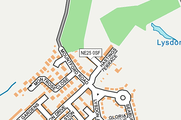 NE25 0SF map - OS OpenMap – Local (Ordnance Survey)