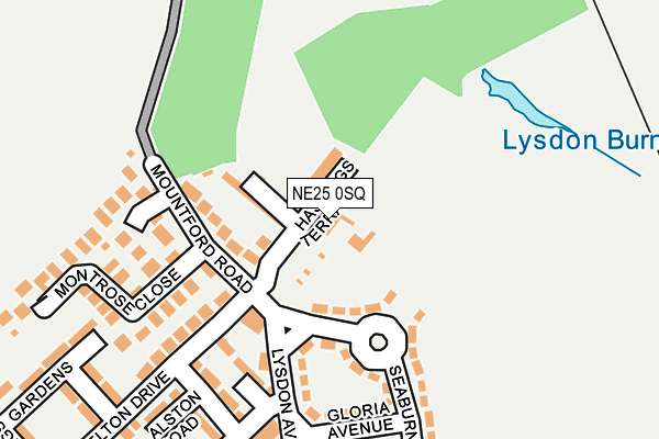 NE25 0SQ map - OS OpenMap – Local (Ordnance Survey)