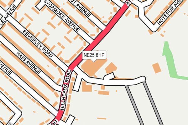 NE25 8HP map - OS OpenMap – Local (Ordnance Survey)