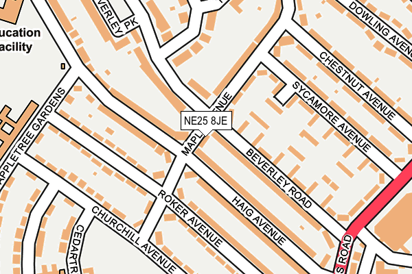 NE25 8JE map - OS OpenMap – Local (Ordnance Survey)