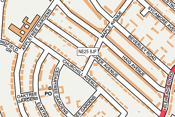 NE25 8JF map - OS OpenMap – Local (Ordnance Survey)