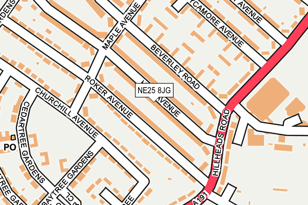 NE25 8JG map - OS OpenMap – Local (Ordnance Survey)