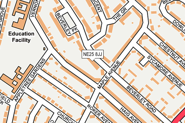 NE25 8JJ map - OS OpenMap – Local (Ordnance Survey)