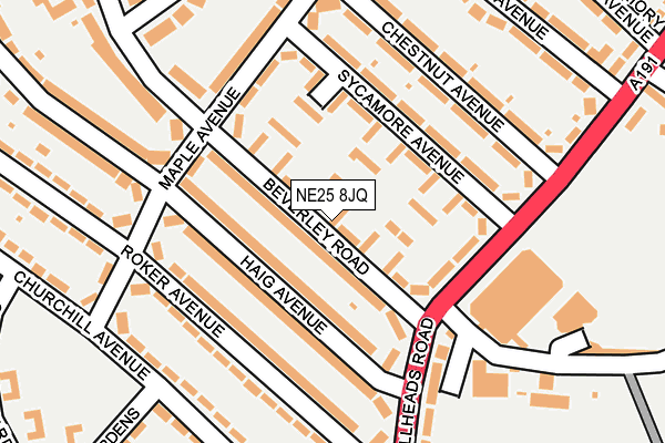 NE25 8JQ map - OS OpenMap – Local (Ordnance Survey)