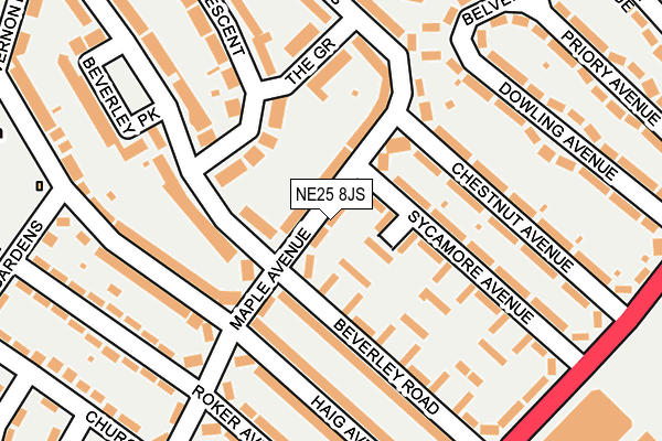 NE25 8JS map - OS OpenMap – Local (Ordnance Survey)