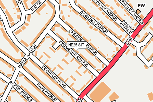 NE25 8JT map - OS OpenMap – Local (Ordnance Survey)