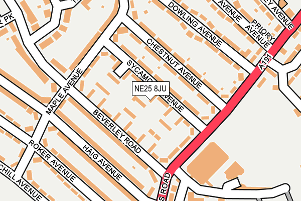 NE25 8JU map - OS OpenMap – Local (Ordnance Survey)