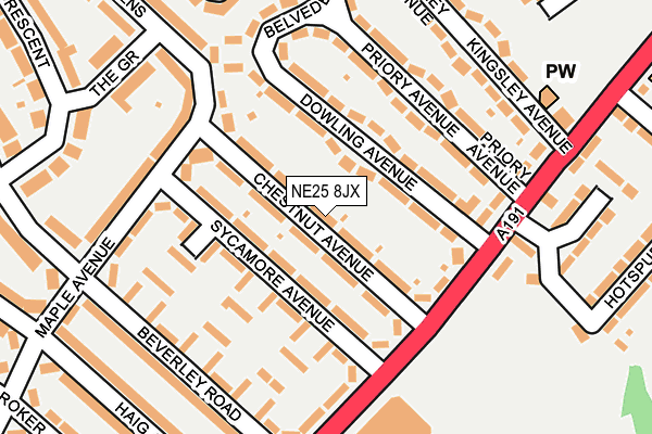 NE25 8JX map - OS OpenMap – Local (Ordnance Survey)