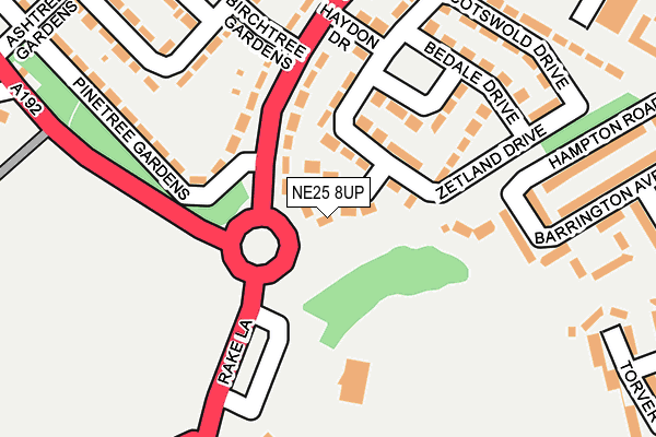 NE25 8UP map - OS OpenMap – Local (Ordnance Survey)