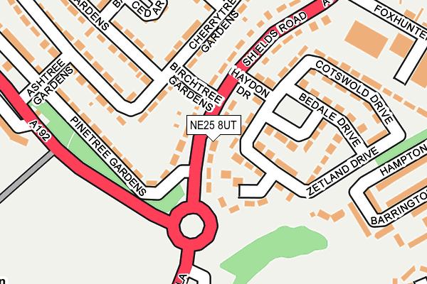 NE25 8UT map - OS OpenMap – Local (Ordnance Survey)