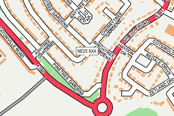 NE25 8XA map - OS OpenMap – Local (Ordnance Survey)